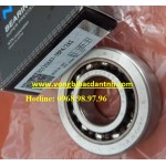 BEARING BST15X47-1BP4